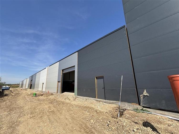 Inchiriere depozit/hala/spatiu industrial/showroom centura Chitila - Centura, IL - 5