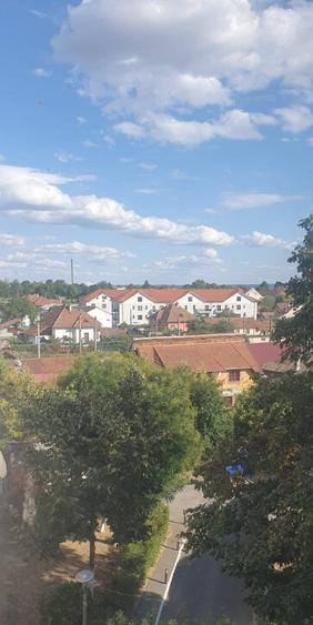 Apartament cu 3 camere in zona Grigore Haidau - 8