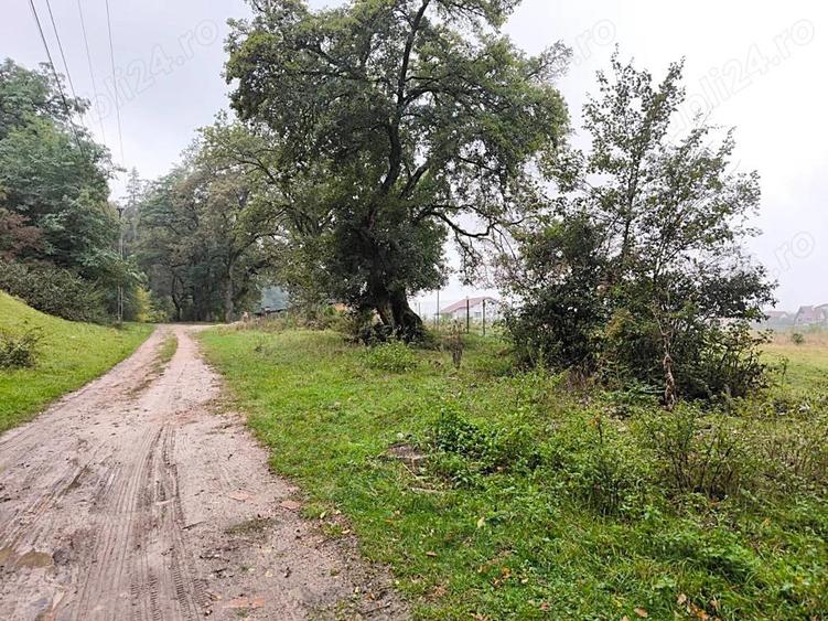 Teren intravilan de vanzare 2.000 mp, Cristian - Bra?ov. - 1