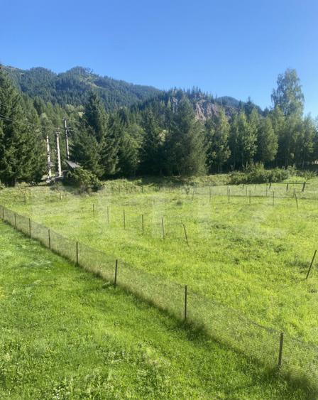 Casa de vanzare cu teren, in Pojorata, la ?osea asfalta - 9