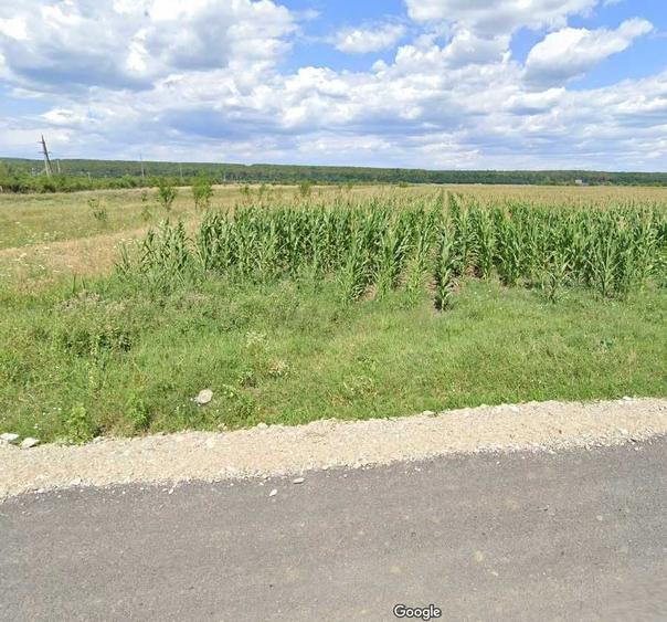 Teren de vanzare.3200mp Documente la zi. Anunt valabil !!! - 4