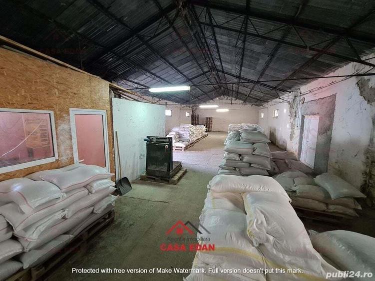 Hala in Campina--280 mp--800e - 6