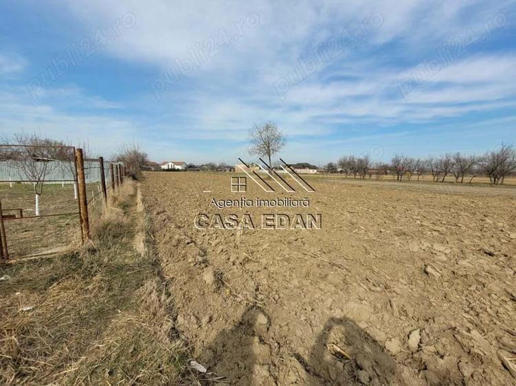 Casa in Filipesti de Targ,--70.000e - 20