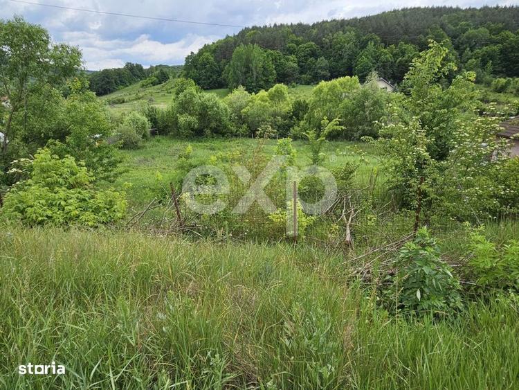 Teren 7,797mp Podis / Calea Moinesti - 4