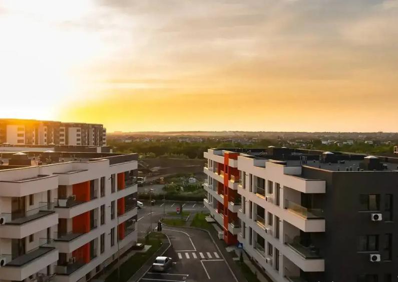 Proiect finalizat - il vezi, il iei, te mu?i- Ivory Re... - 3