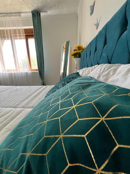 Casă cu 3 dormitoare, 600 mp utili, 2000 mp teren, Talpoș, Bihor. - 10