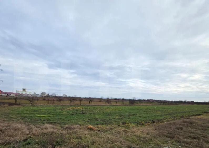 Teren extravilan de vanzare cu utilitati, 5900mp, zona Closc - 1