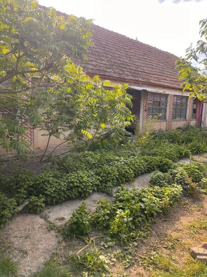 Casa de vanzare Foeni! - 2