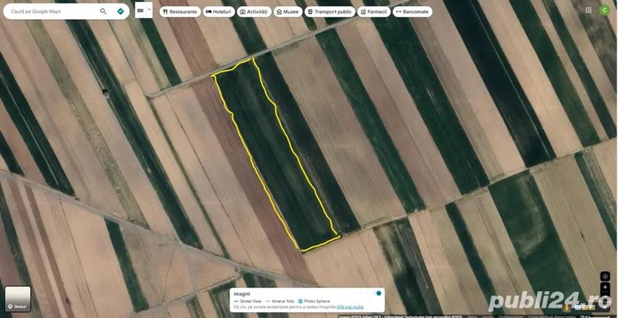 Teren de 4479 mp, în Horodnic