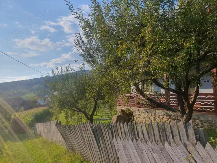 Casa 64 mp util, 2 camere + hol mare refacut, 4.100 mp intravilan - 9