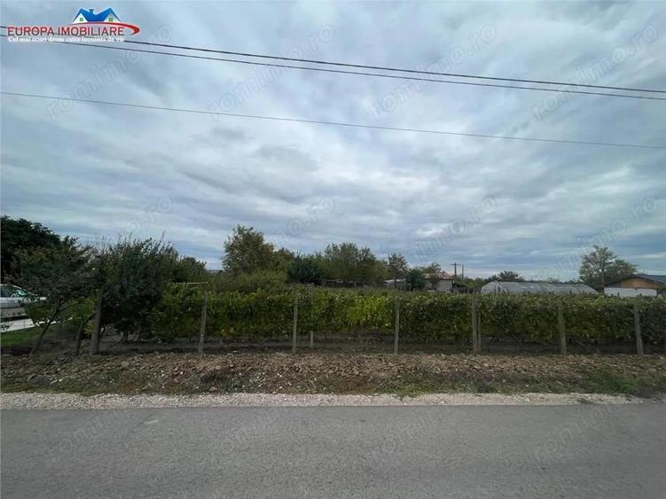 Teren de vanzare in localitatea Iazurile judetul Tulcea - 3