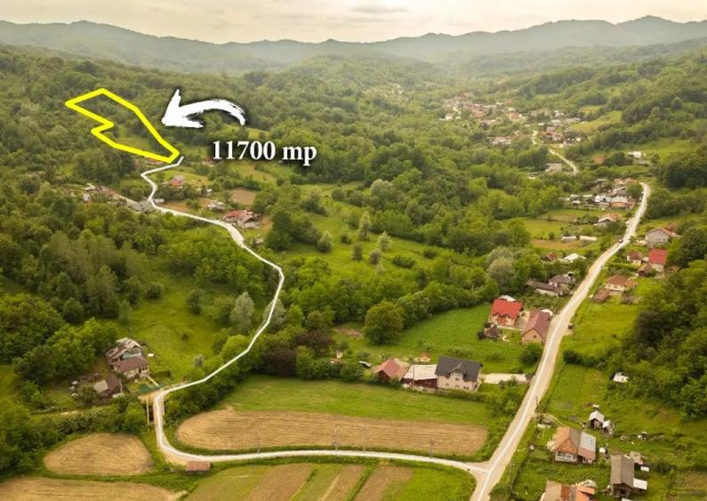 Teren 11700 mp in Valea Lunga, o oaza de lini?te, aer curat, verdea?a - 4