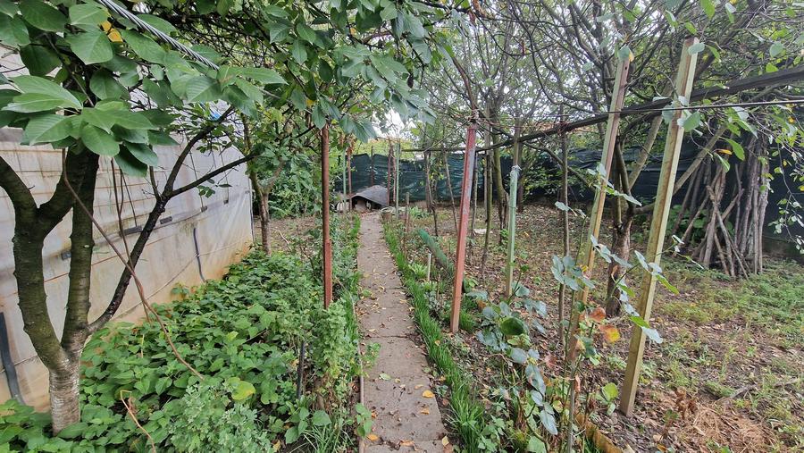 🏡 De vanzare casa individuala Calea Ghirodei- 727 - 12