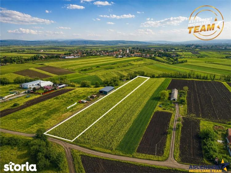 Film! Teren de 5.800 mp, Dobolii de Jos, Covasna - 3