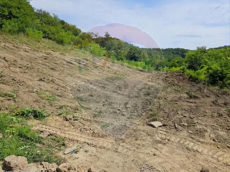 Teren intravilan pentru casa din doua parcele a cate 800mp fiecare - 1