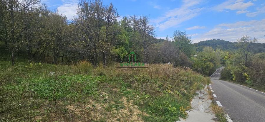 Teren Construcții intravilan de 828 mp, în Curăturile
