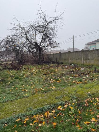 Casă cu 4 camere în Vlădila