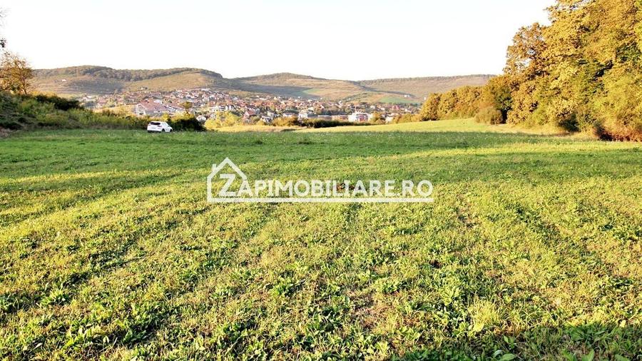 Teren Construcții extravilan de 29759 mp, în Livezeni