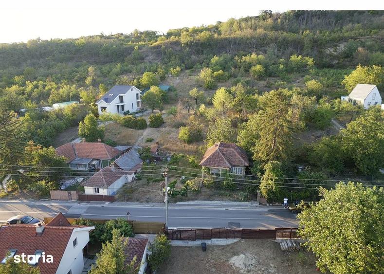 Teren de 4000 mp, în Podgoria