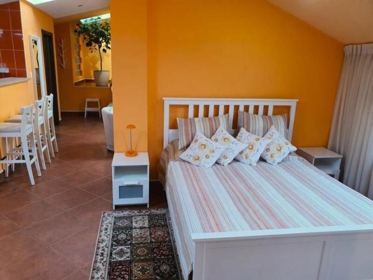 Studio Open Space de Lux | 65 mp. | Mansardă | Piața Dorobanți | Centrala | Lift - 14