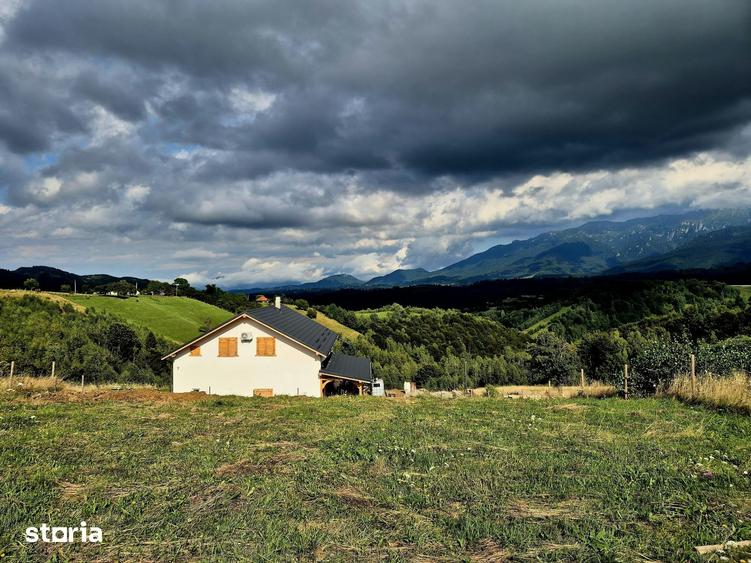 TEREN EXTRAVILAN DE VANZARE PE?TERA, MOECIU- INVESTI?IE CU POTEN?IAL - 8