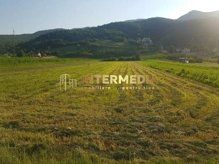 Teren Construcții intravilan de 4418 mp, în Cetate
