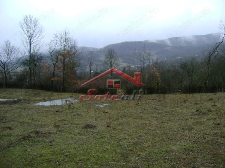 Teren de 2656 mp, în Drăgăneasa