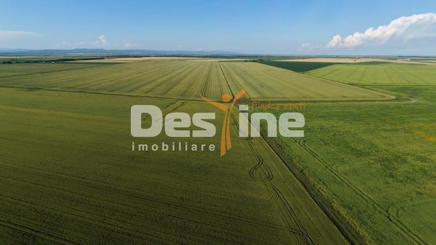 Teren agricol extravilan de 41225 mp, în Dumbrava