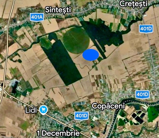 Vanzare teren intravilan Copaceni Ilfov - 3