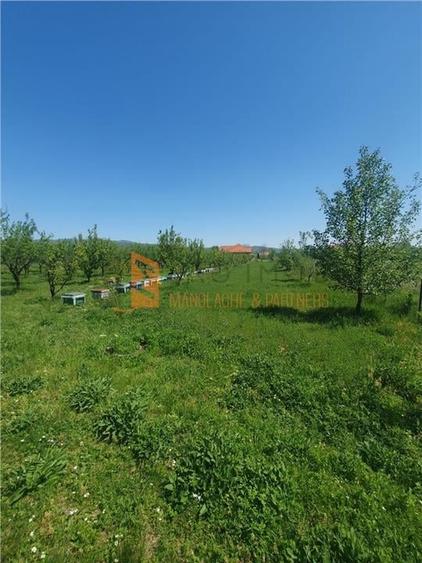 EXCLUSIVITATE! Casa cu teren zona Parscov - 22