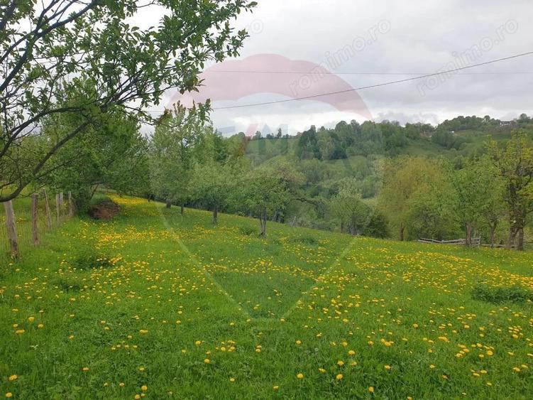 COMISION 0% | Teren 1,000mp Bran | Strada Clincea | - 1