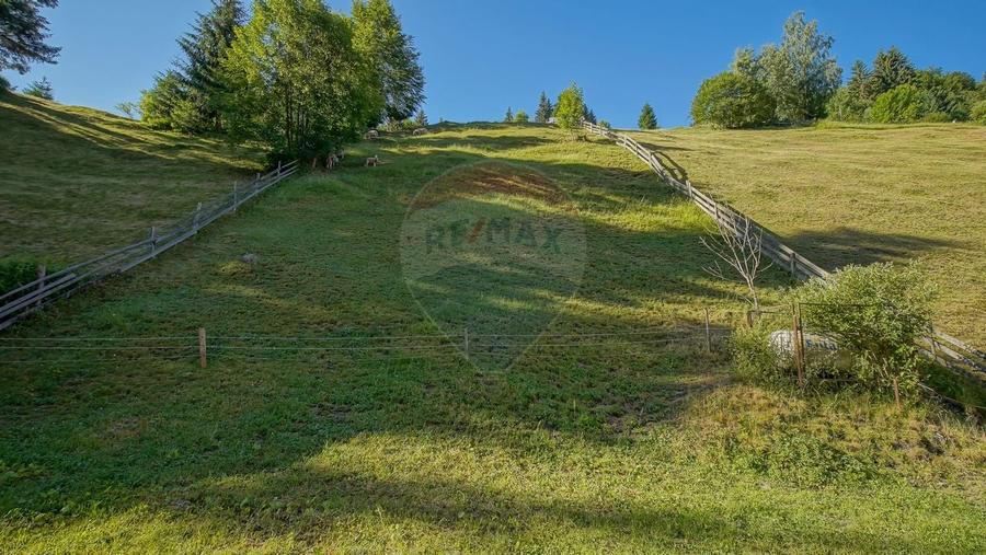 Casă de vacanta, in inima naturii, comision zero pt cumparator - 29