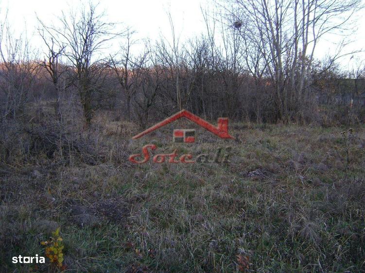 Teren de vanzare Cornu de Jos - 2