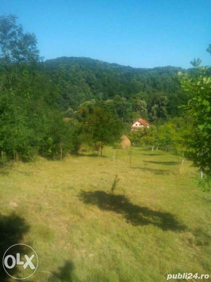 Vand vila si teren intr-o zona superba in loc. Savarsin (jud. Arad) - 8