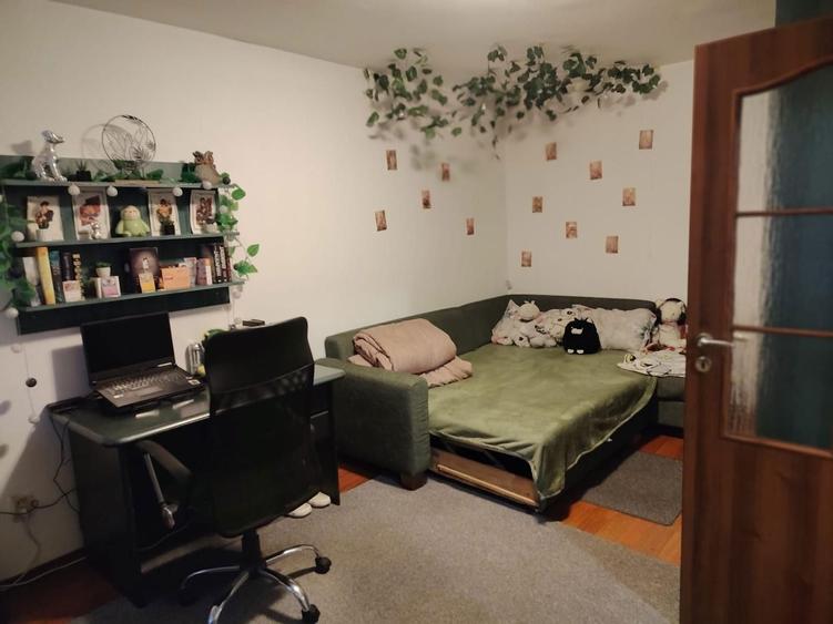 Apartament cu o camera in zona sensului giratoriu Marasti - 8