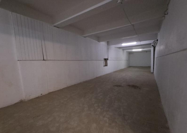 Spatiu sup.500 mp depozitare/productie Calea Baciului - 7