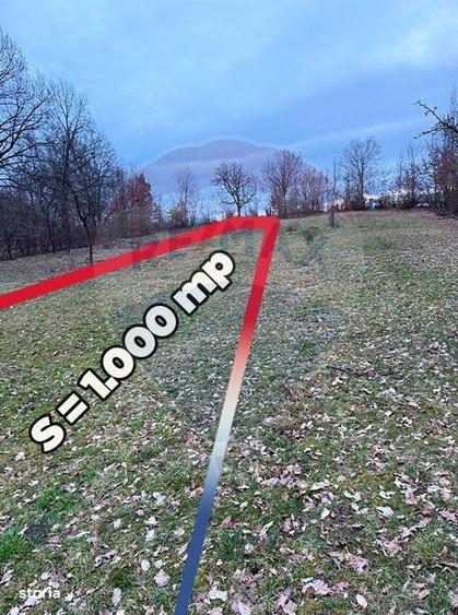 Teren intravilan cu priveliste de vanzare in Rus - 2