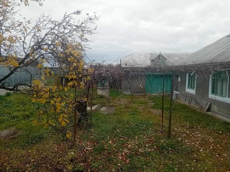 Casa Bodesti 50mp 2 camere bucataria anexe la sosea cu 1500mp teren lumina ,fintina cu apa - 5