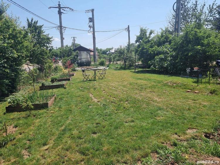 Casu?a cu teren , Ciolpani - Piscu - 3