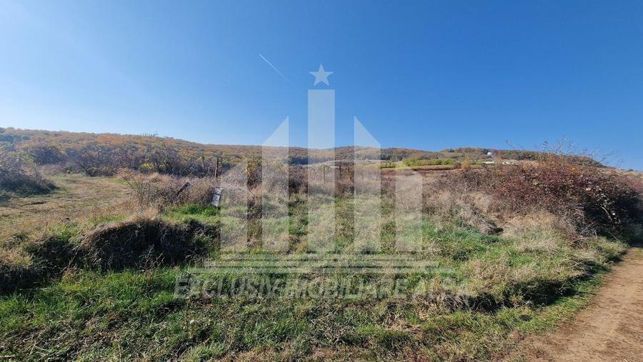 Teren intravilan | De vanzare | 3900 mp | 17 ml deschidere | Cetate - 2