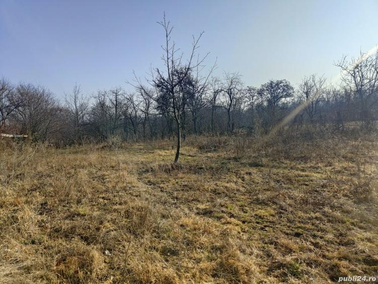 Teren de 2440 mp, în Podenii Vechi
