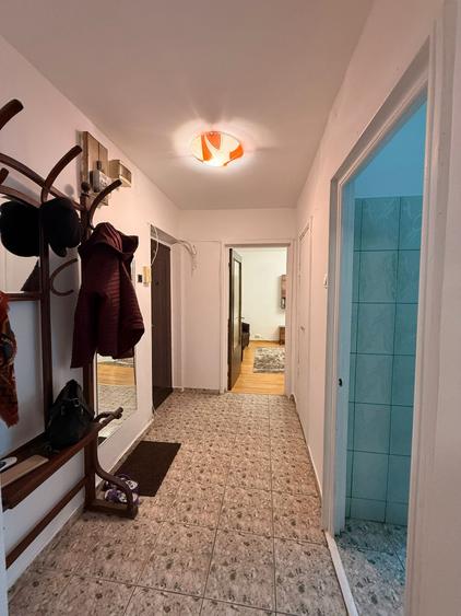 Lacul Tei - Teiul Doamnei - Parcul Circului si Lidl Lacul Tei la 5 min - 5