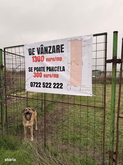 Teren 1300mp de vanzare in Straulesti - 2
