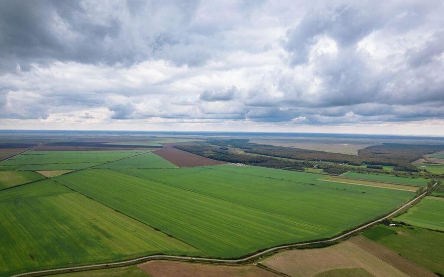 Teren arabil de 1299 hectare in Ia?i - 5