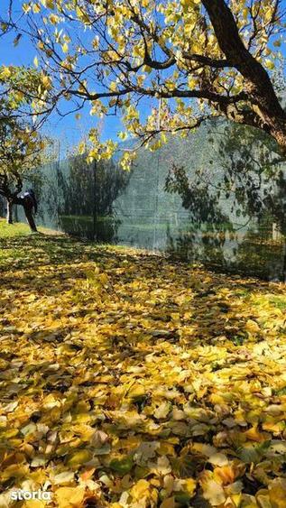 Teren 2500 mp,toate utilitatile -SAFTICA - 1