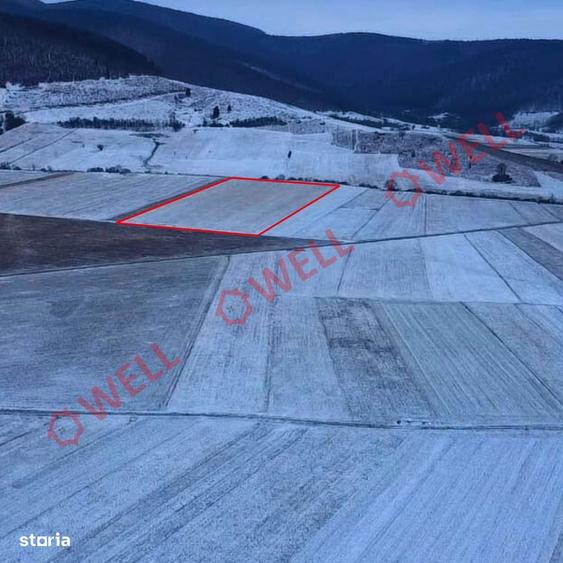 3 terenuri extravilane de vanzare in Zagon! - 2