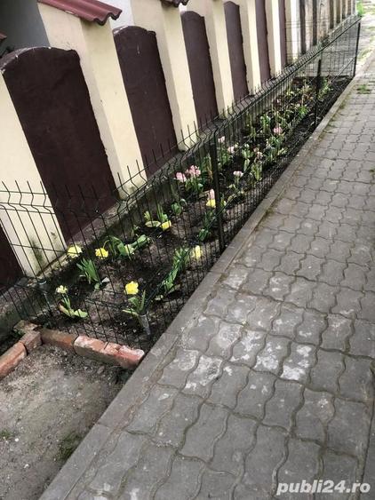 Apartament ?oseaua Chitilei - 1