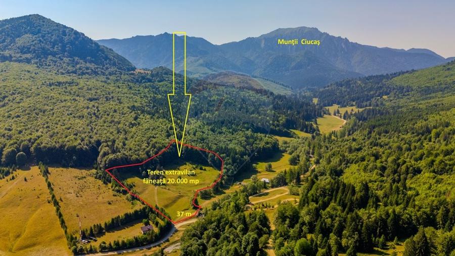 Teren 20000 mp, sat Dalghiu, com Vama Buzaului - 2