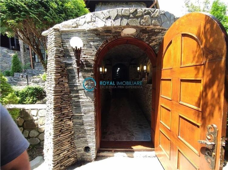 Royal Imobiliare -vanzare vila/ casa de vacanta zona CAMPINA - 7