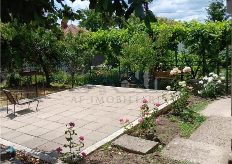 Copou Vila P M Su.165mp Teren 1000mp vecin cu limita Gradina - 8